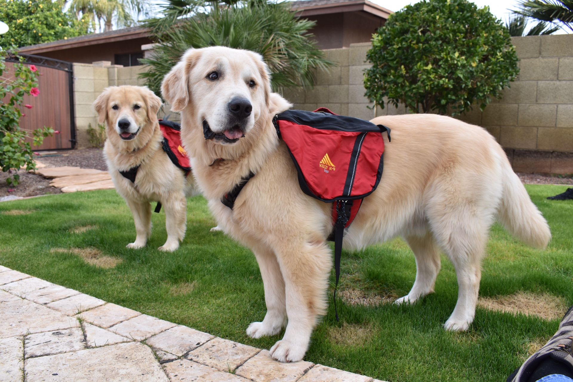 Kelty K9 Sherpa Backpack for dogs (Large)