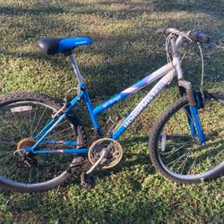 Roadmaster 26 Inch Bicycle $30