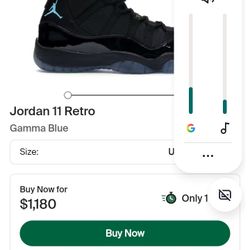 Jordan Retro 11 Gamma