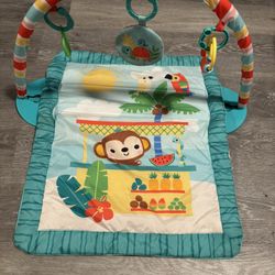Baby Play Mat