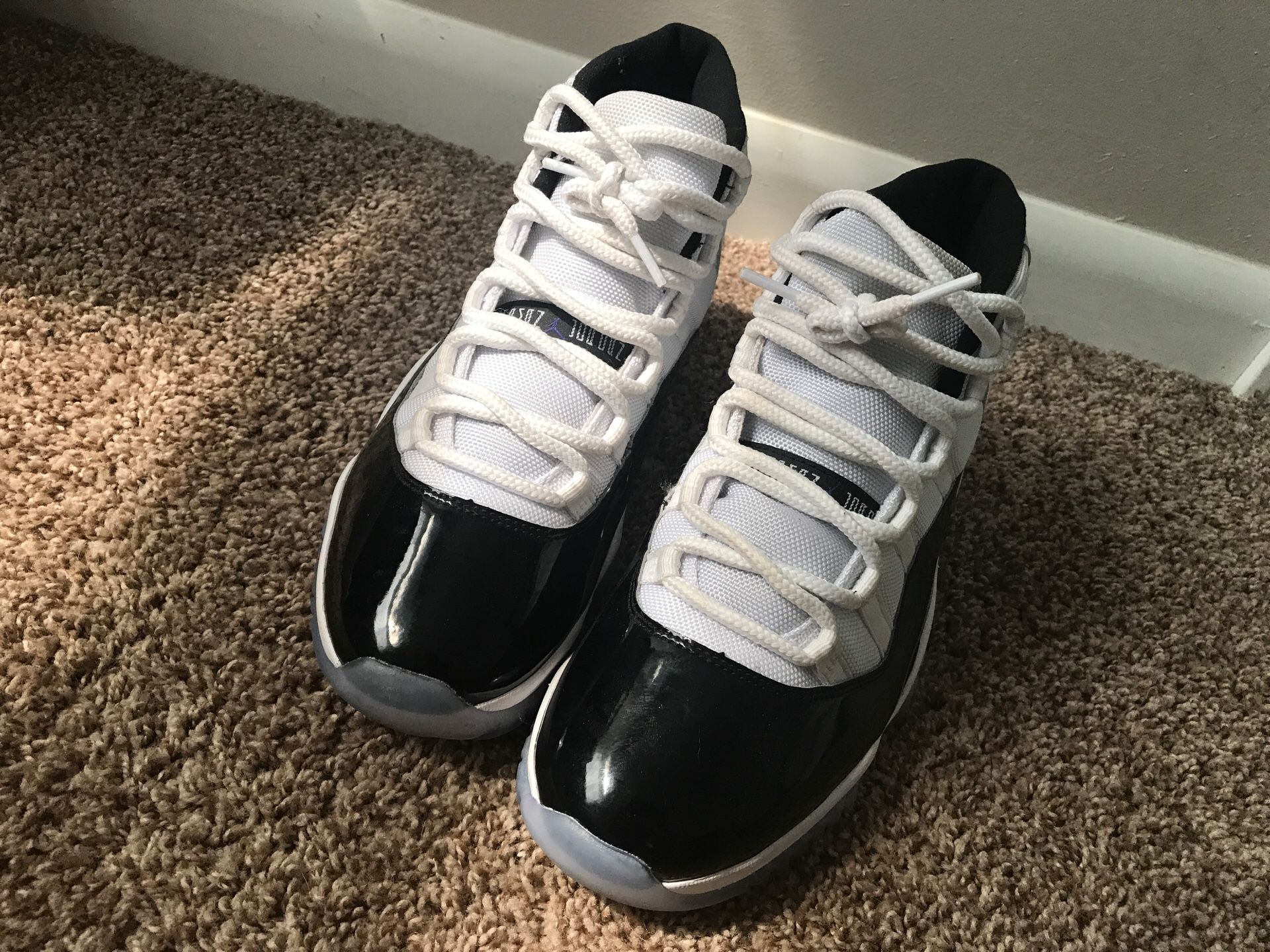 Jordan Concord 11 (9.5) And Jordan 3 International Flight (10)