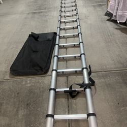 Adjustable Ladder 