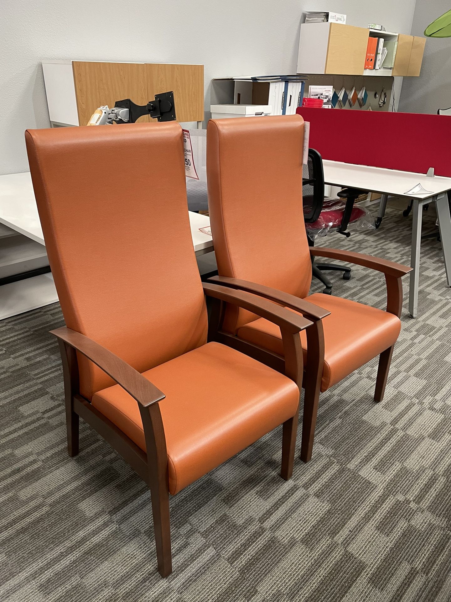 Persimmon Healthcare Chairs 