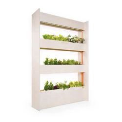 Wall Farm - indoor vertical garden - Click and Grow