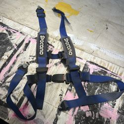 racing harness