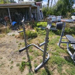 Squat Rack & Utility Bench