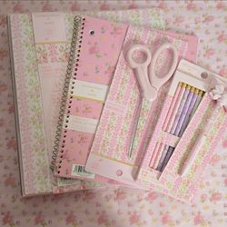 Love shack fancy x Back to school mini
