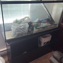 Tank (75 Gallon) / With Stand
