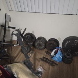 325lbs of 2" Weights + 2" Olympic bar; 1" weight plates + handles; pullup bar; weight tree; pulley