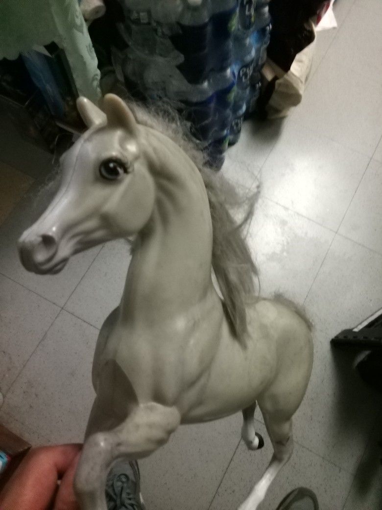 Horse 🐴