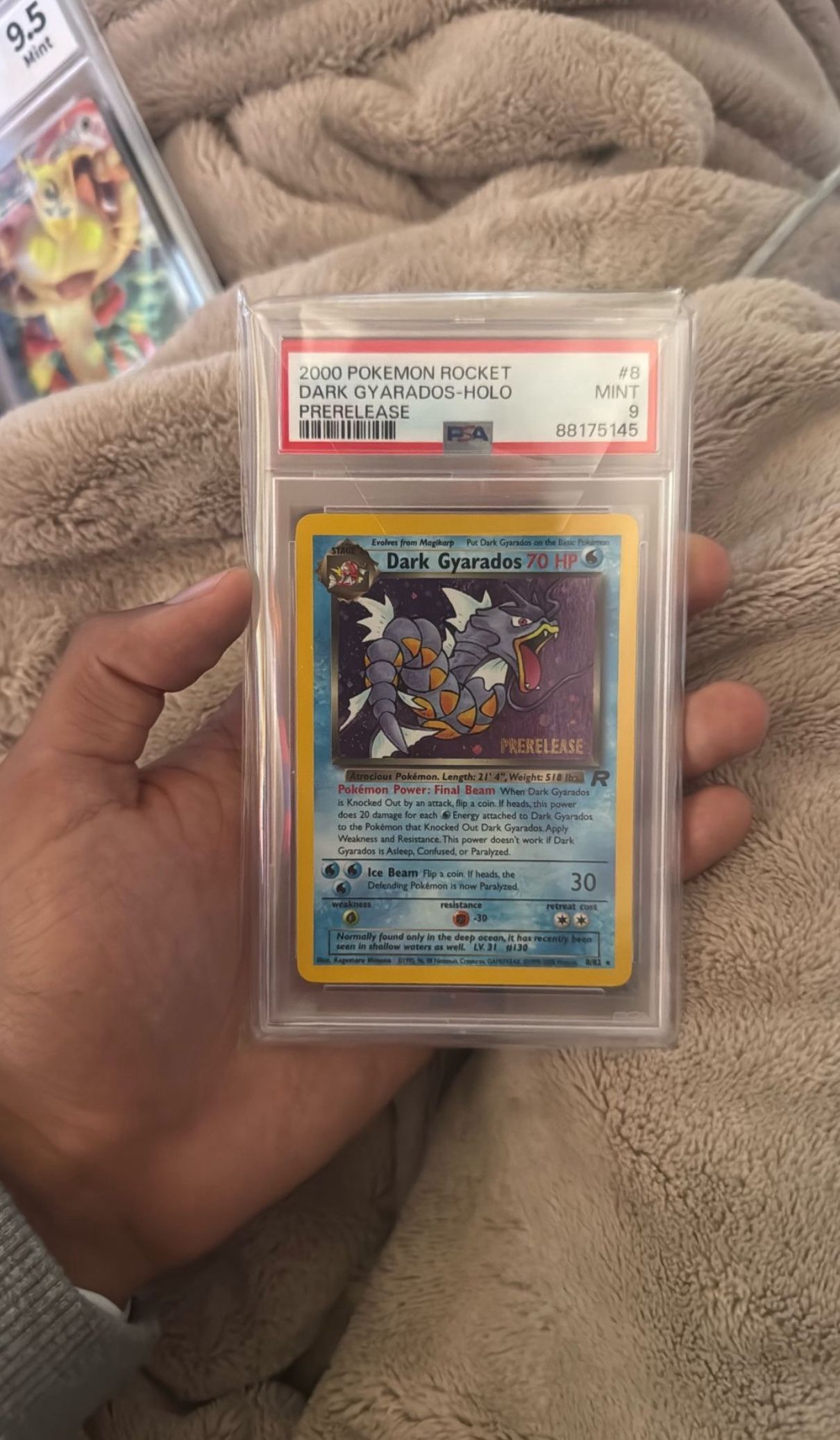 2000 Pokemon Rocket Dark Gyarados Holo Prereleases