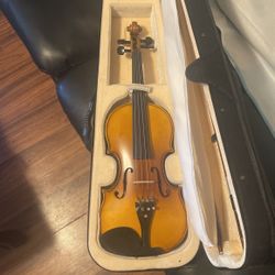 Violin