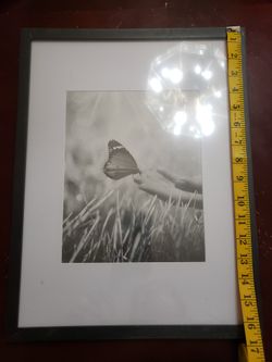 Picture Frames