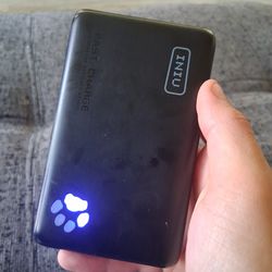 Iniu paw battery pack / charger bank