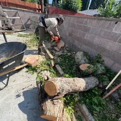 Chainsaw