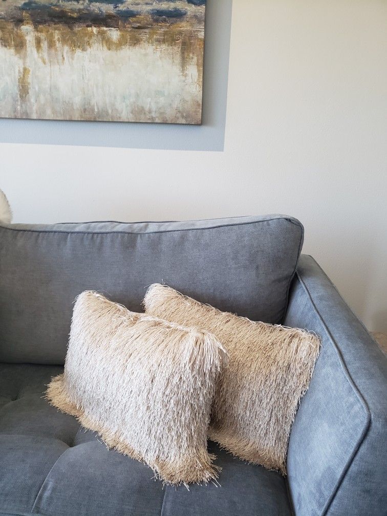 2 Beautiful PILLOWS