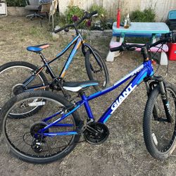 Giant 24”bikes 