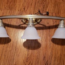 Designer Bathroom Light Fixture 