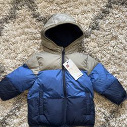 Boys Puffer Jacket (2T)