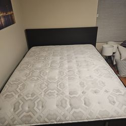 Sealy Premium Queen Mattress 