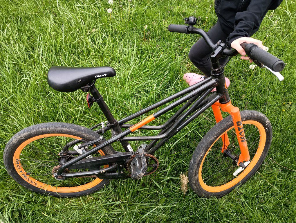 Kids Bike - 20" Giant