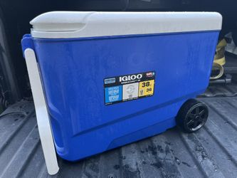 Cooler