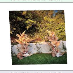 training development Tailored Ceremony Arches Design Your Dream Wedding Setup