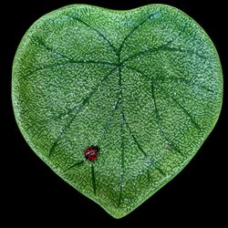 PIER ONE 1 Imports LADYBUG LEAF dinner plate green ceramic hand painted RETIRED!
