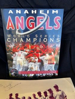 Angels world champions