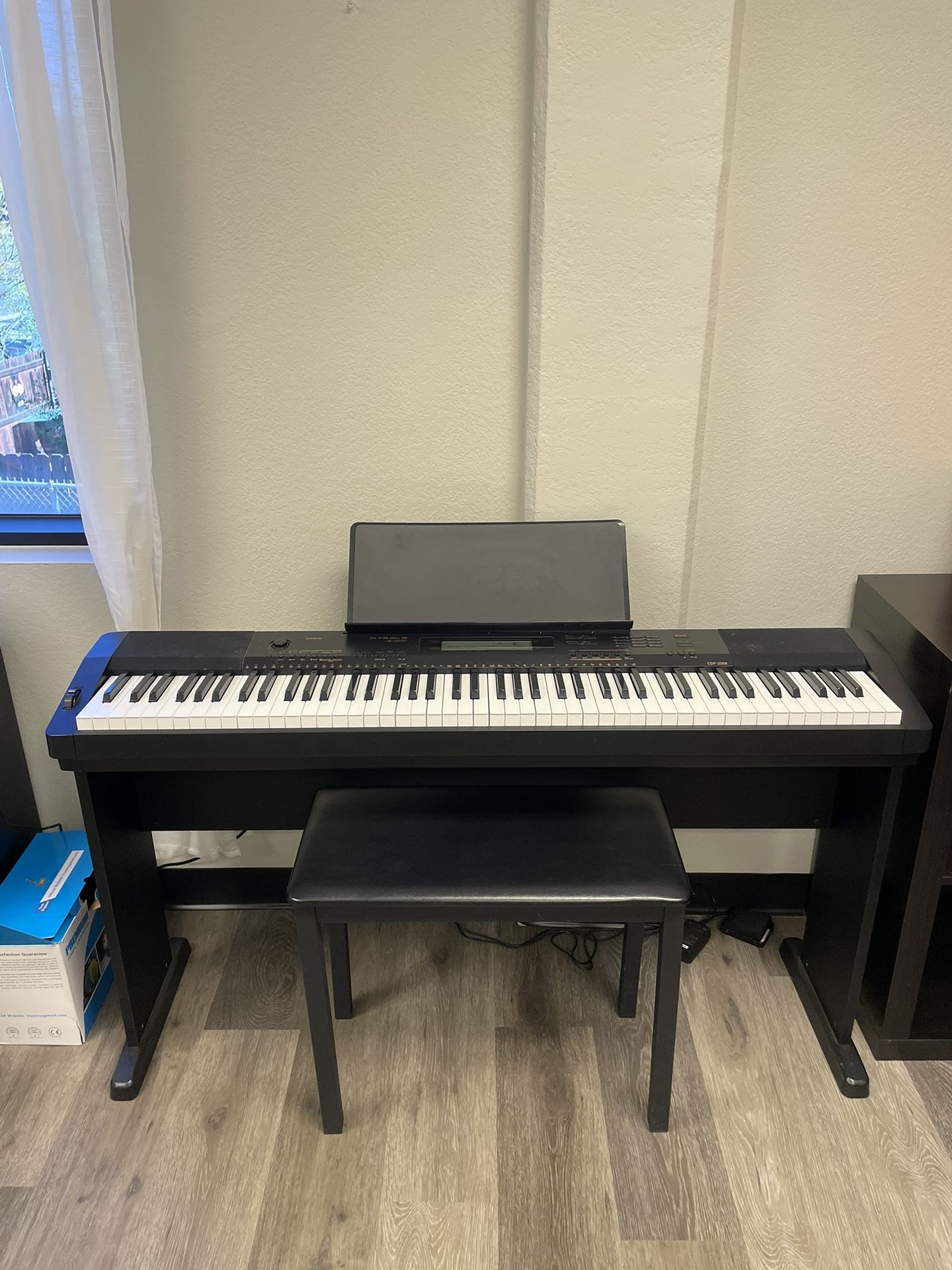 Casio Keyboard + Stand + Bench