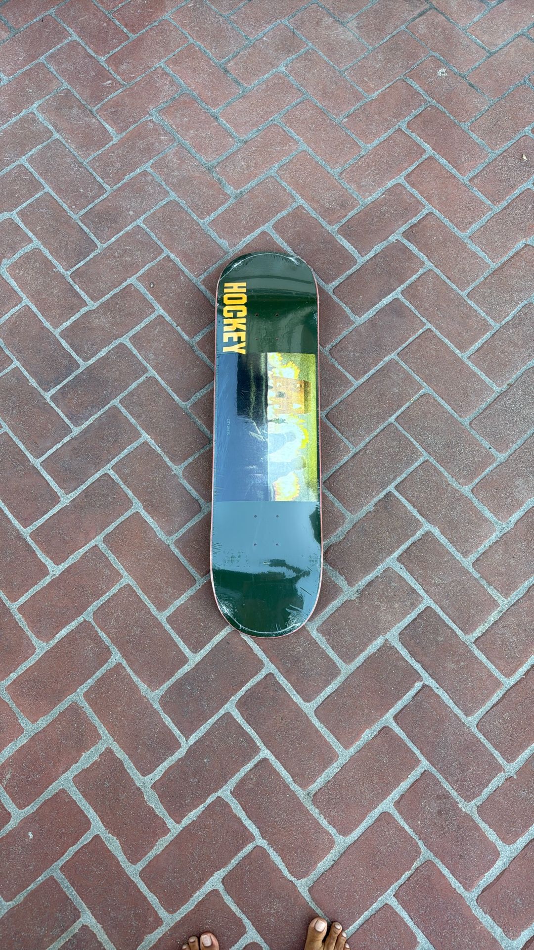 HOCKEY Diego Todd Skate Deck Size 8.25 NEW