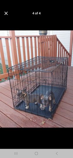 MED DOG CAGE 
