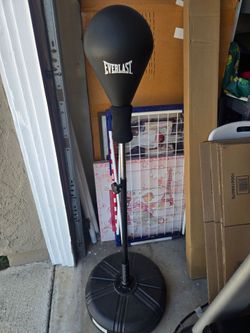 Everlast punching bag