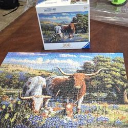 300 Piece Puzzle 