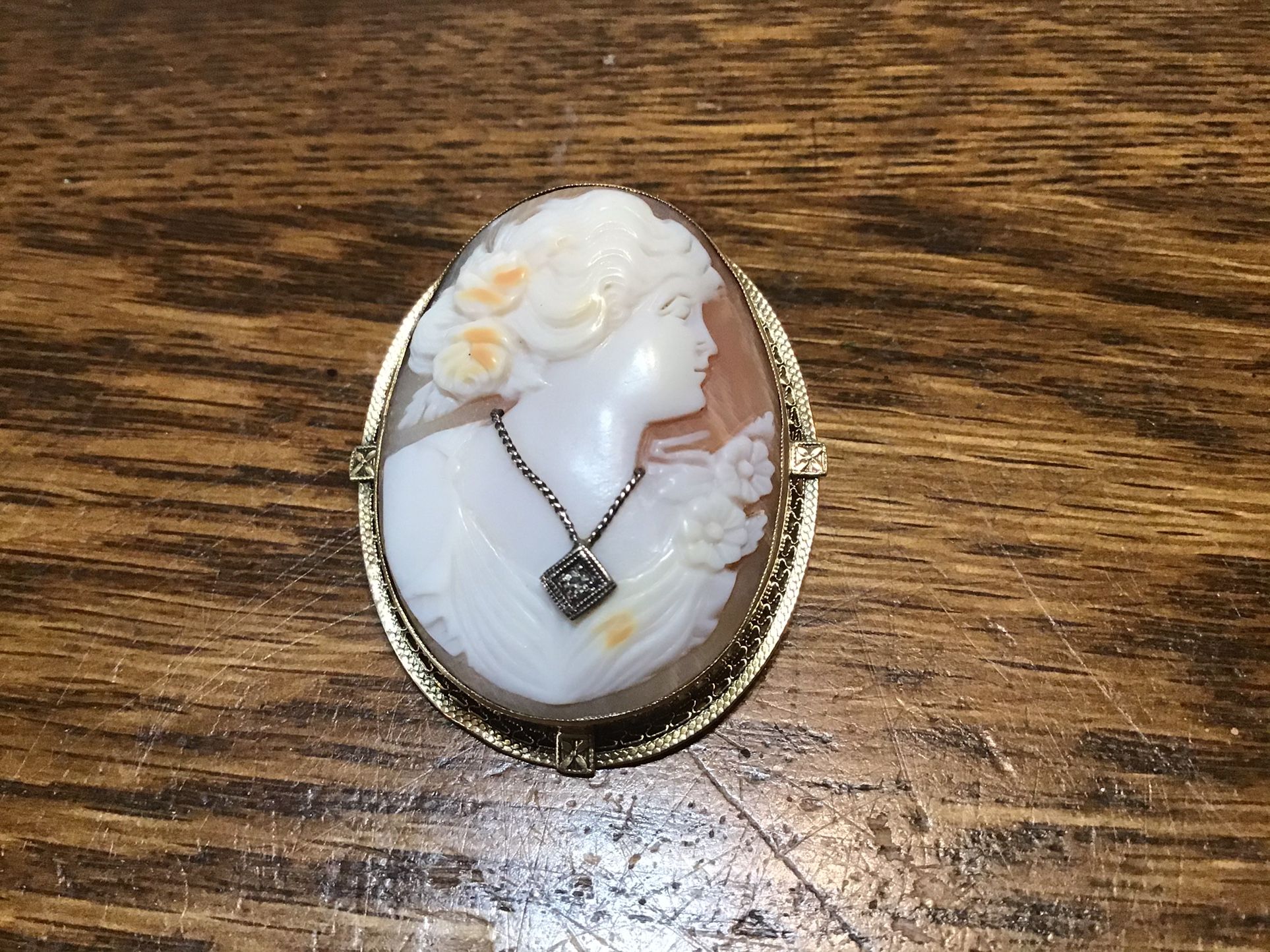 Cameo Pin/necklace
