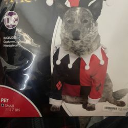 Small 11-17 LBS Dog Costume
