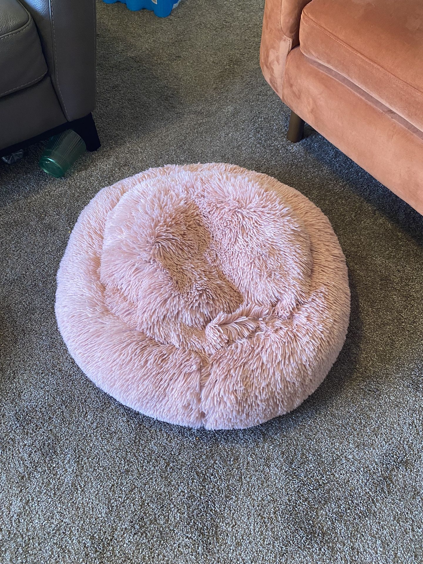 New Doggy Bed