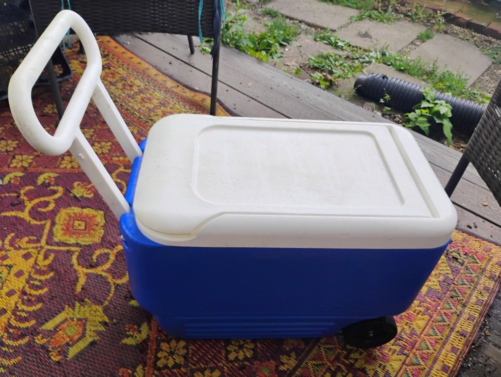 Igloo Cooler