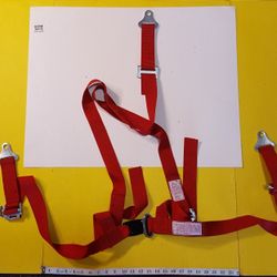 Racing Harness 3-point Mount