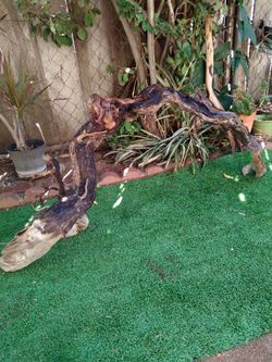 Driftwood For Aquariums Terrariums Decor