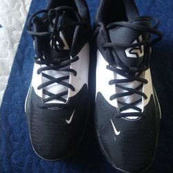 Giannis Zoom Freak 5