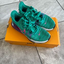 Lebron James Wtiness VI