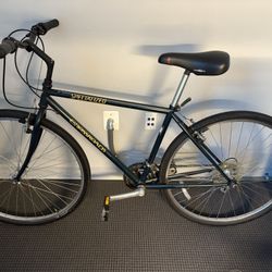 Specialized  Crossroads  Cruz