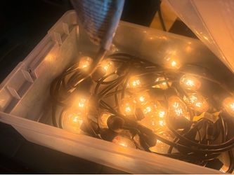 Outdoor lights set