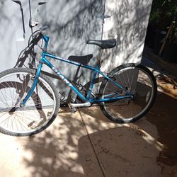 Giant Attraction Bike 