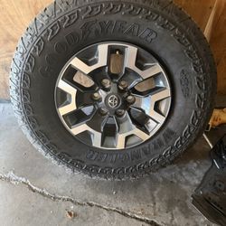 Rims And Tires