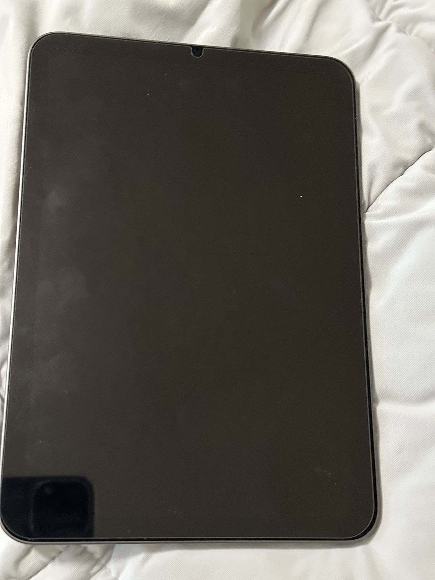 iPad Mini