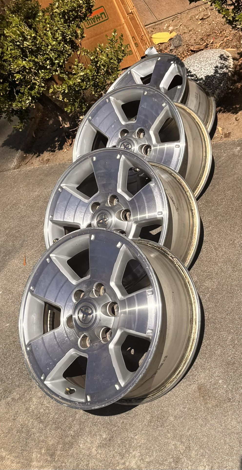 Tacoma Rims 
