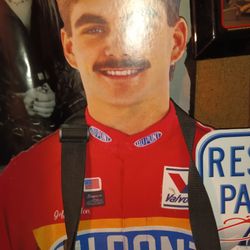 Jeff Gordon Cut Out 