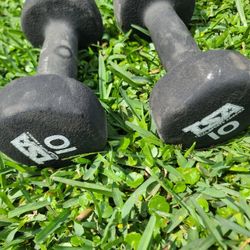 10lbs Set Of 2 Dumbbells 